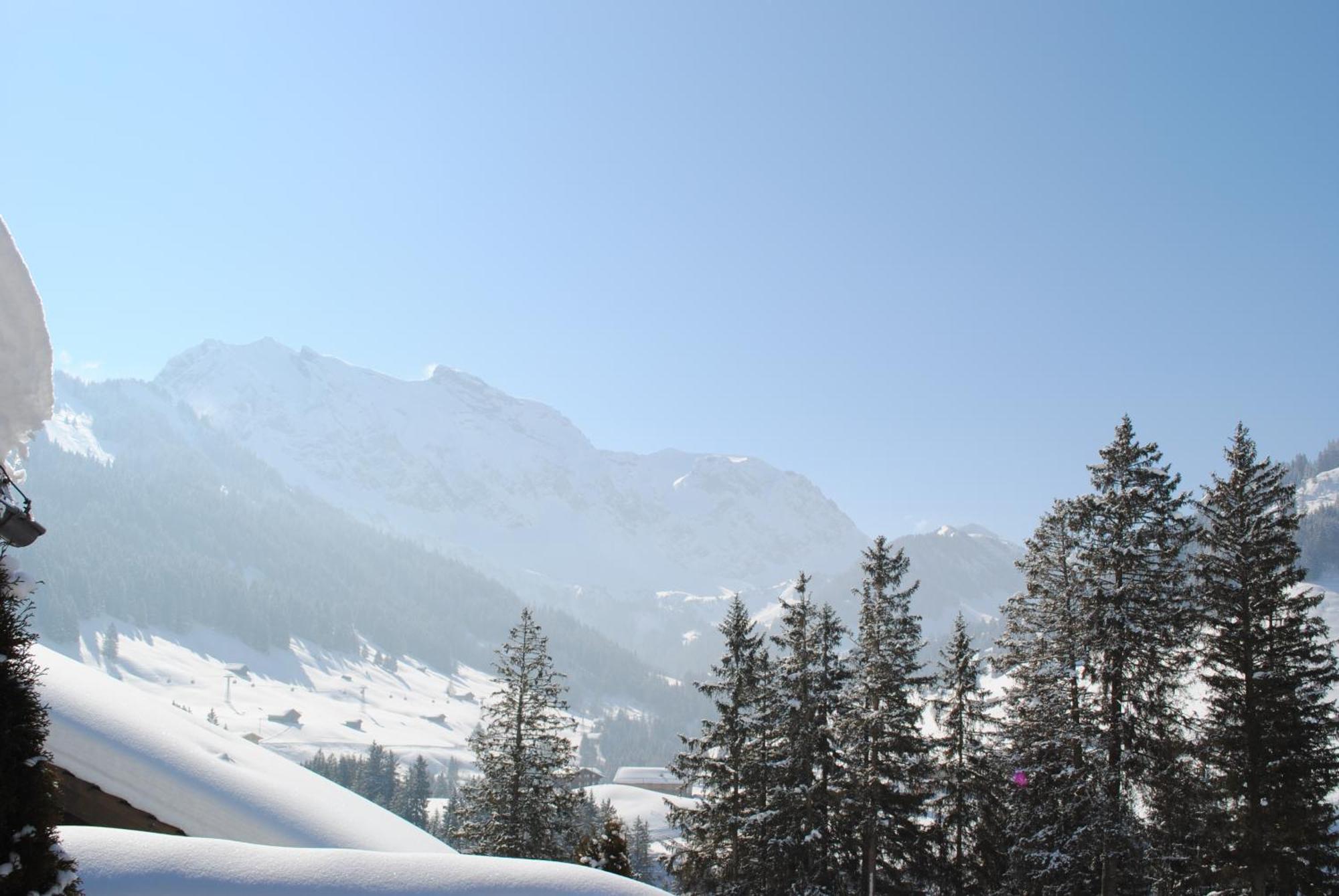 Apartment Nadeschda Adelboden Exterior photo